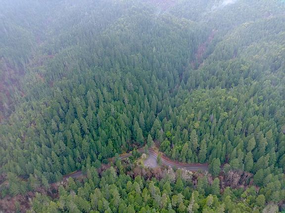 4th image of 1834 Waters Creek Rd