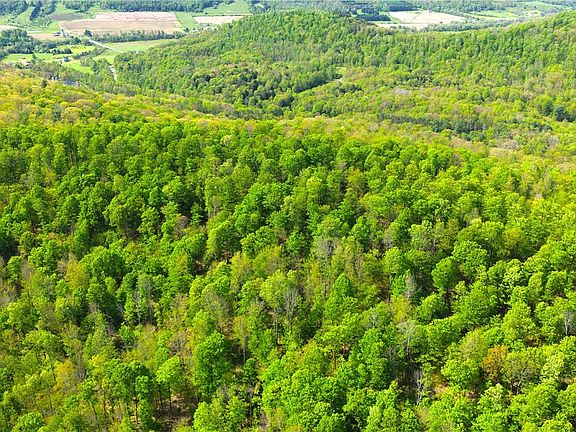3rd image of 0 Haines Hollow Rd Lot 1