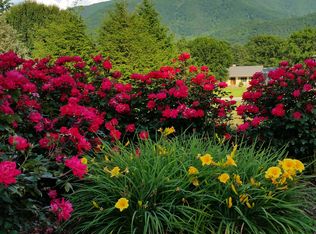 3620 Gilland Dr, Sevierville, TN 37862