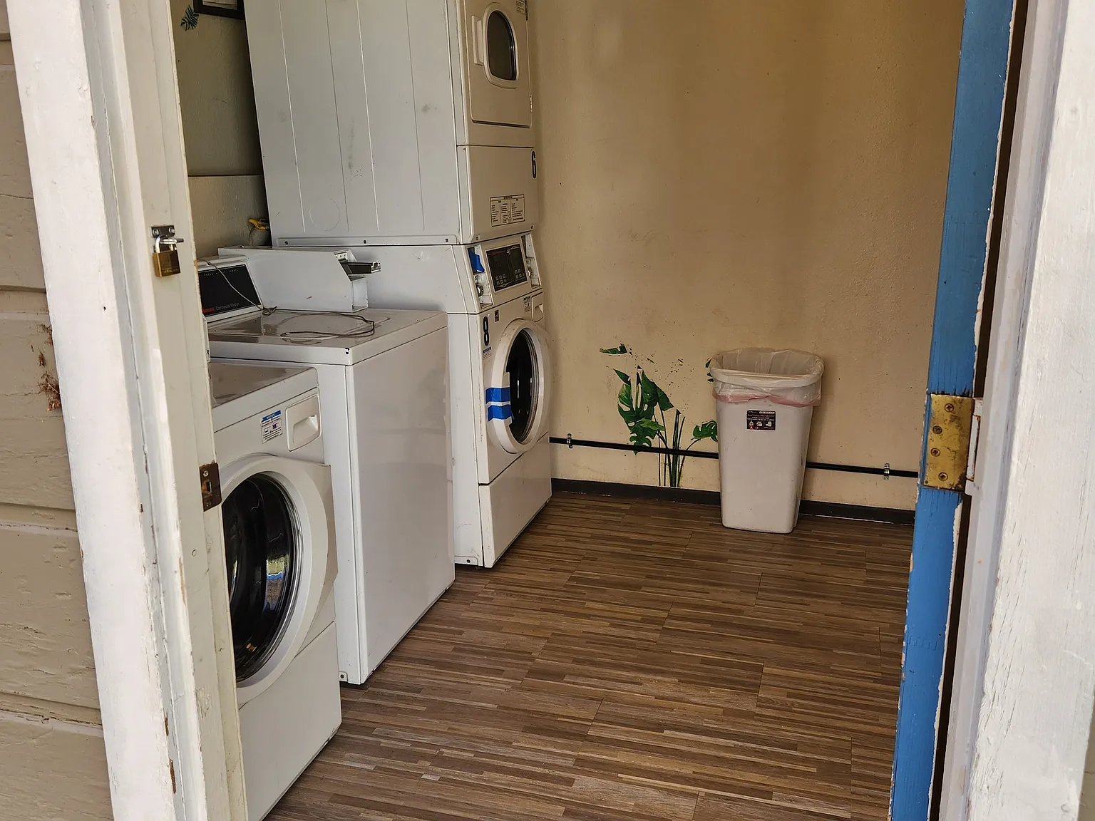 Studio, $1,250 — Photo 4