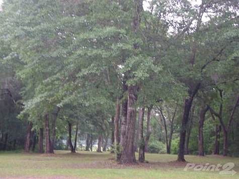 5th image of 83 Summer Duck Ln