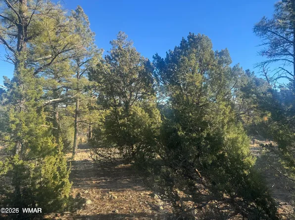 2060 E Bluff Ridge Rd, Show Low, AZ 85901
