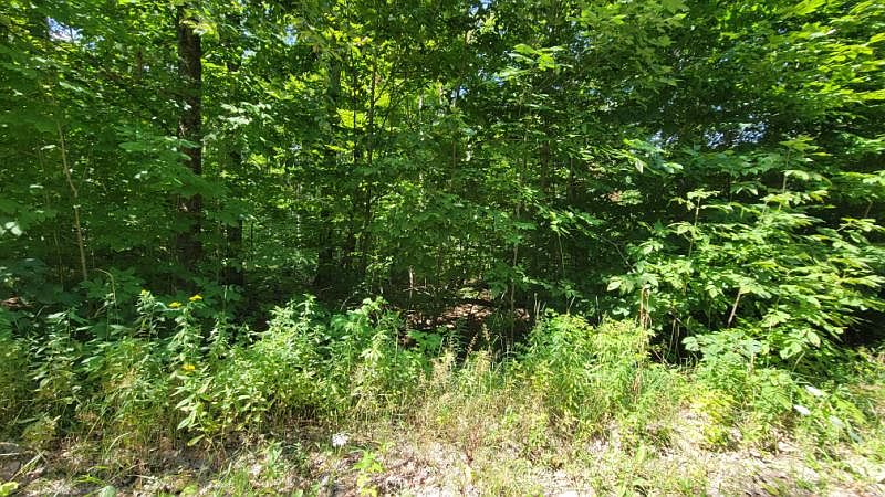 1st image of Beechnut Ln