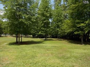 505 Lakeshore Dr, Chapin, SC 29036