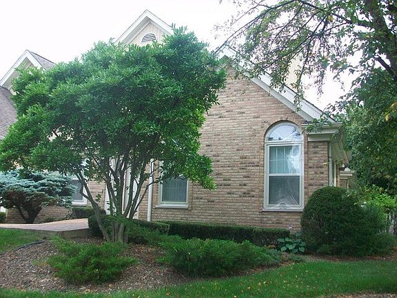 5th image of 10713 Hollow Tree Ct