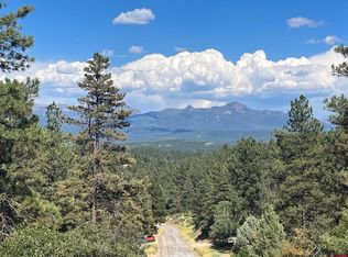 156 Brookhill Dr, Pagosa Springs, CO 81147