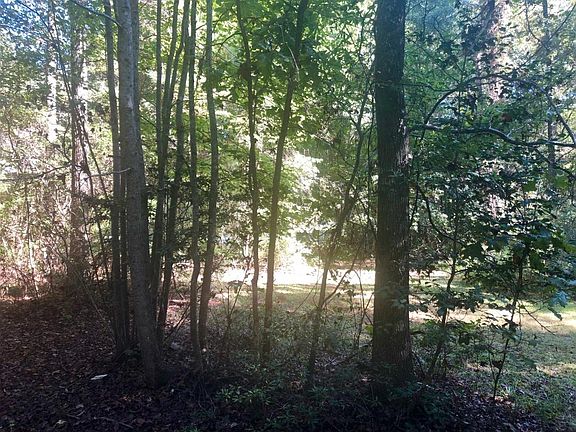 Capture every season!