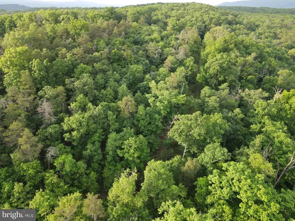 LOT 4 Cattail Rd, Winchester, VA 22603