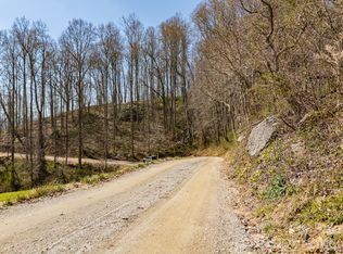 Dads Retreat Trl, Canton, NC 28716