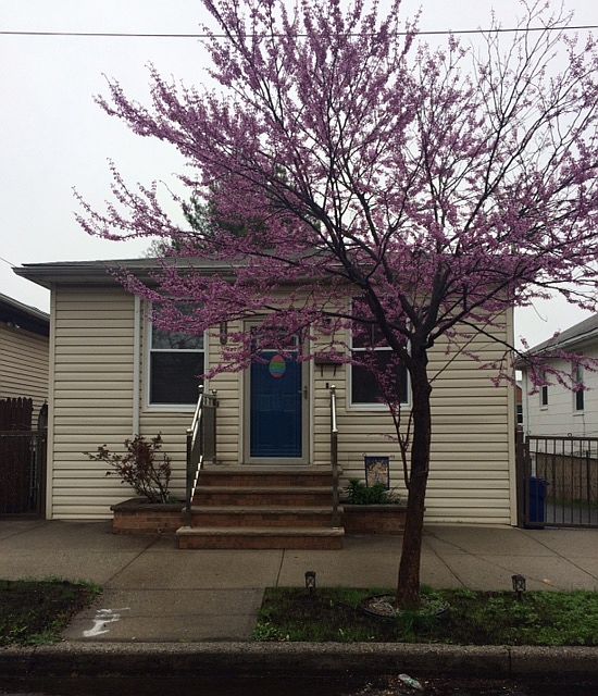 1324 Mayflower Avenue