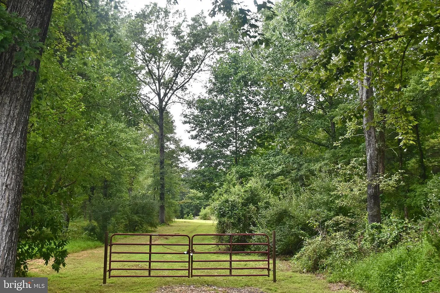15260 Riding Club Dr photo 1
