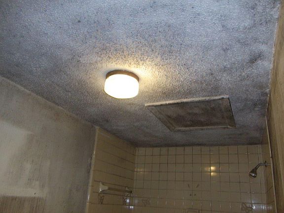 4th image of 289 NW 95th Ave