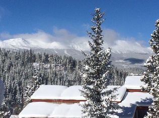 97 Illinois Gulch Rd, Breckenridge, CO 80424
