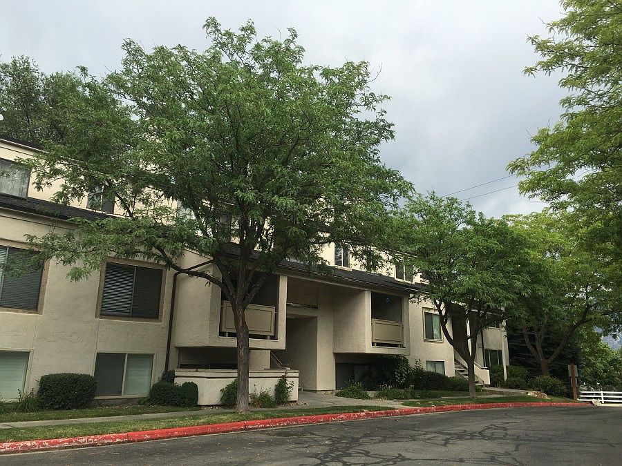 1st image of 973 E Creek Hill Ln #10