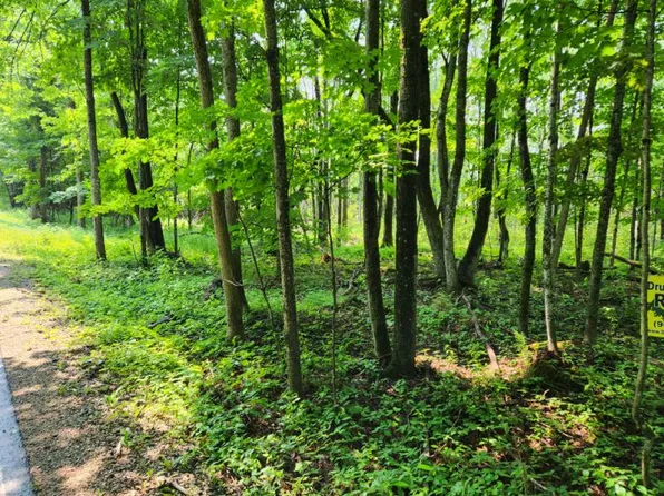 S Cut Across Rd, Drummond Island, MI 49726