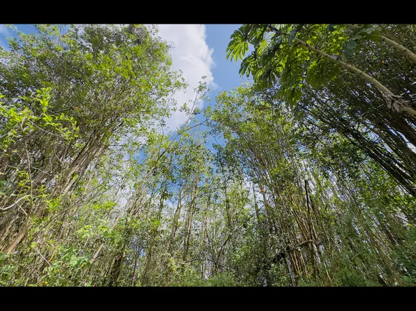 Hibiscus Dr Lot 81, Pahoa, HI 96778