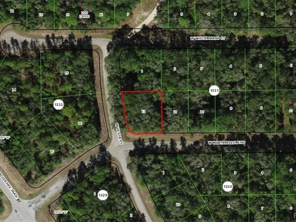 11205 N Vesta Point, Citrus Springs, FL 34434
