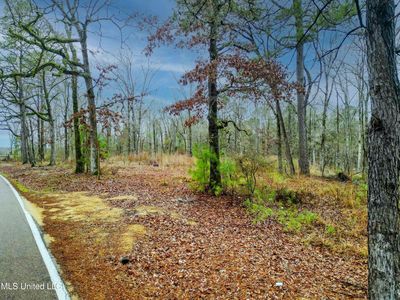 Mullican Rd, Florence, MS, 39073