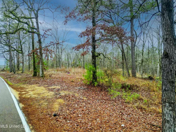 Mullican Rd, Florence, MS 39073