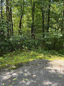 Lot 18 Sourwood Court, Sapphire, NC, 28774