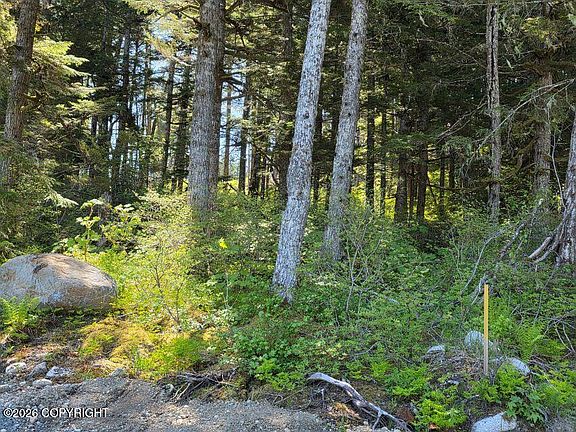 3rd image of LOT 7 Hill Side Loop