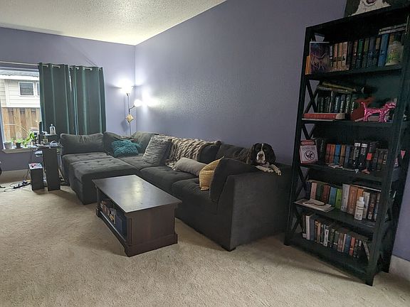 Large living room