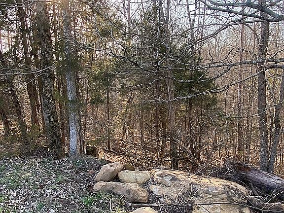 Woods enjoy off your porch!