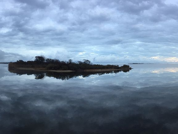 Pond across the street