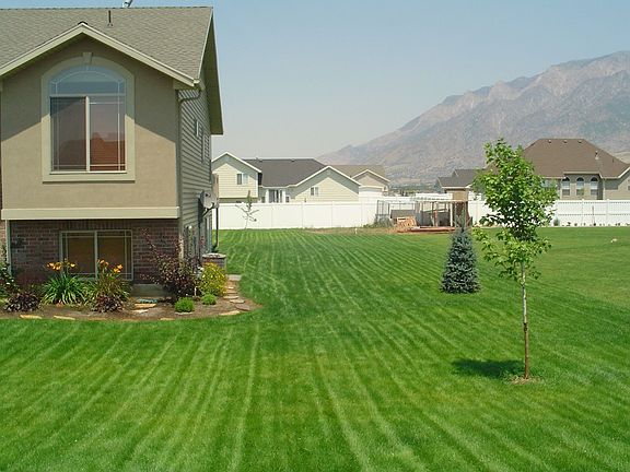 East Side of house
