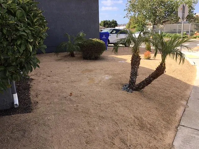 5 bed, 1800 sqft, $6,300 — Photo 3