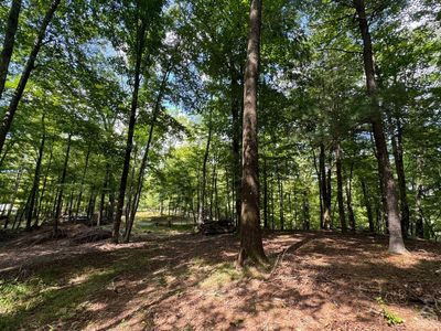 0 Woodland Road, Taghkanic, NY, 12521