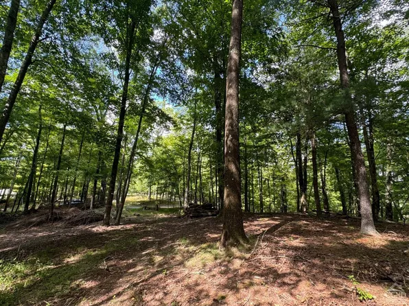 0 Woodland Road, Craryville, NY 12521