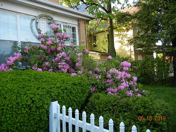 2nd image of 242 S Mount Vernon Ave