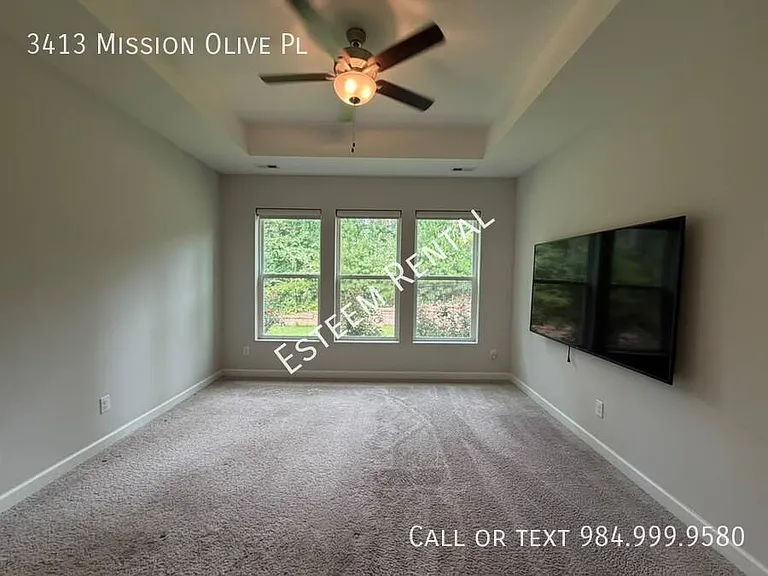 3413 Mission Olive Pl — Photo 27
