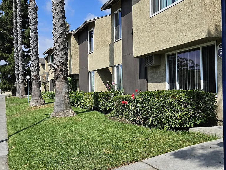 Cascade terrace — Photo 10