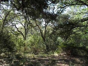 1st image of 3254 County Road 138