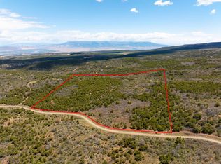 LOT 16 Elk Reserve Rd, Glade Park, CO 81523