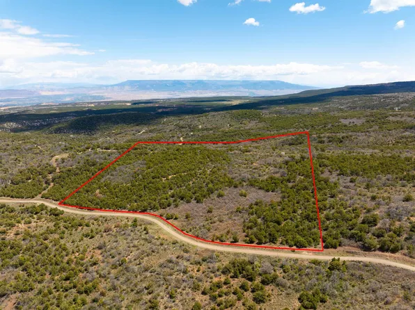 LOT 16 Elk Reserve Rd, Glade Park, CO 81523