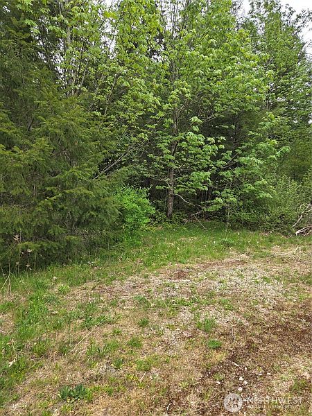 3rd image of 0 WA-547 Road