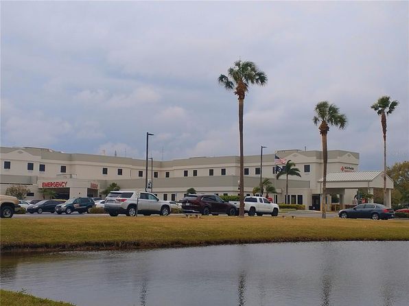 saint-petersburg-florida-46966603 picture