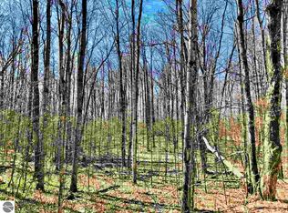Del Mason Rd, Mancelona, MI 49659