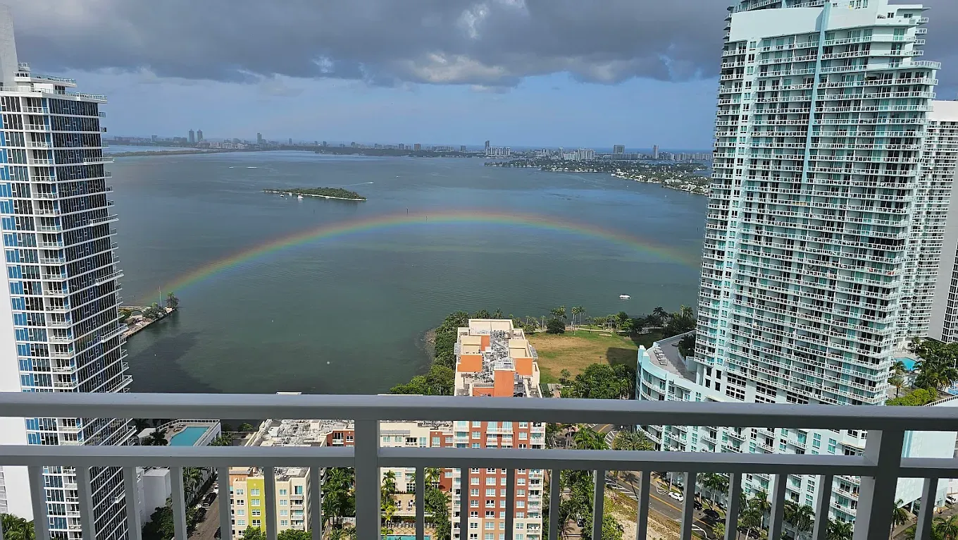 1 bed, 800 sqft, $2,990 — Photo 4