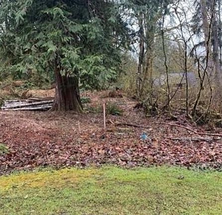 2nd image of 16007 Shuksan Rim Drive