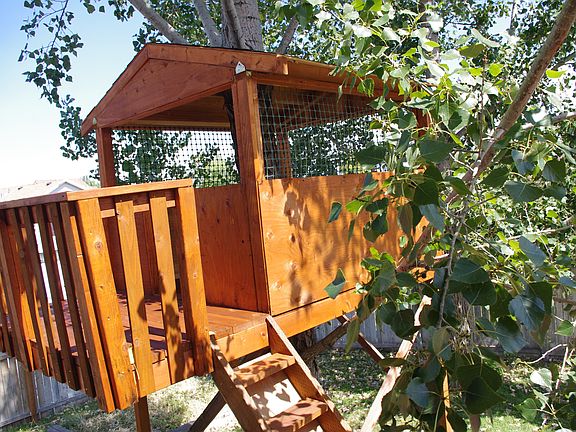 Tree house