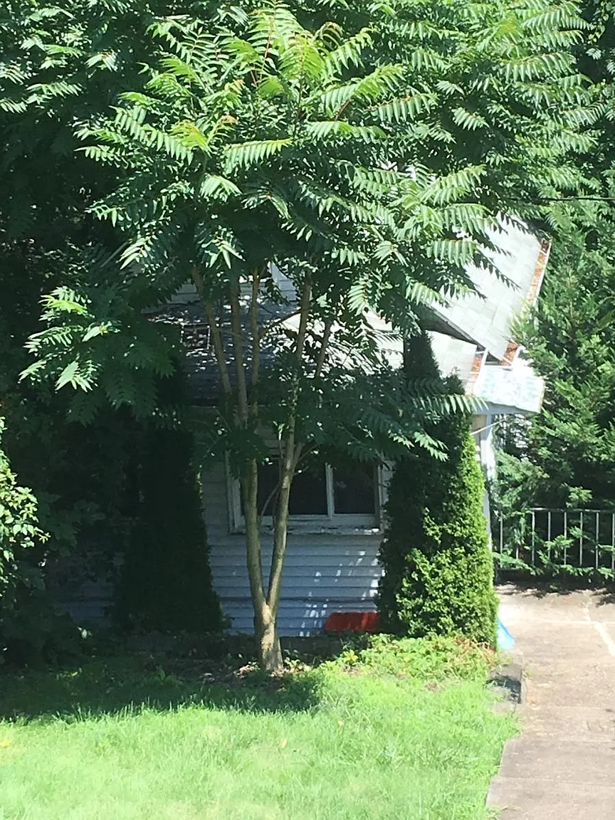 418 Walnut St photo 1