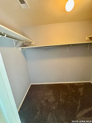 124 Booker Palm — Photo 23