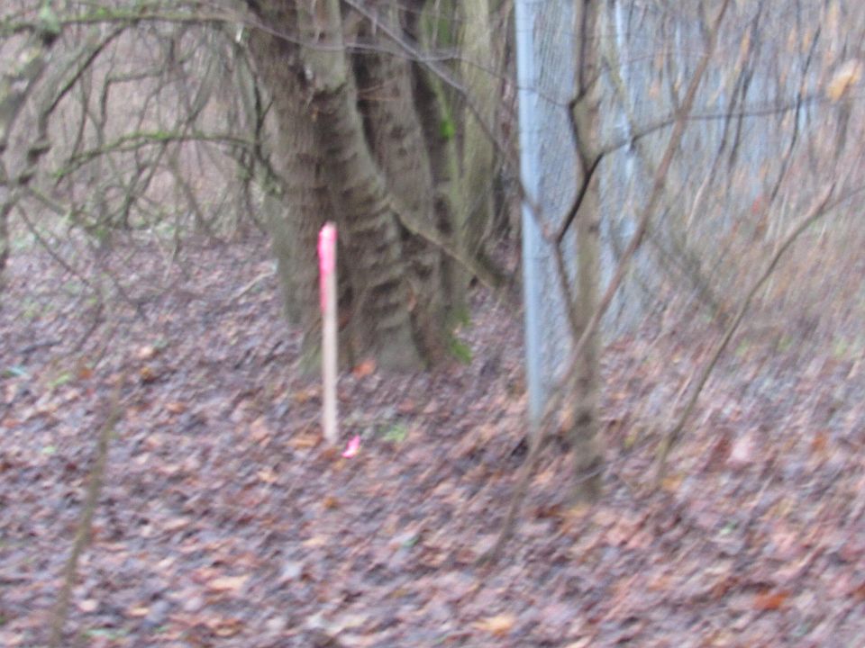 2nd image of Haines Rd