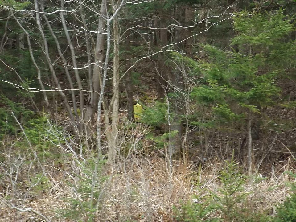 2nd image of Roberts Island Rd