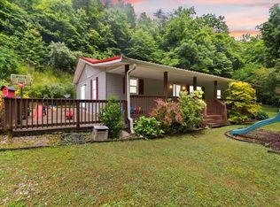 94 Lick Fork Ln, Happy, KY 41746