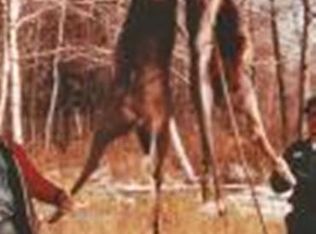 3418 E Ten Mile Rd, White Cloud, MI 49349